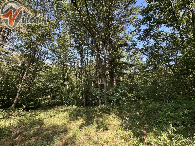 Offres de vente Terrain Saint-Jean-d'Heurs (63190)